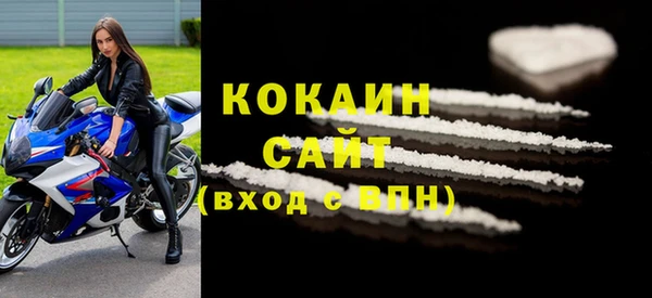 крисы Баксан