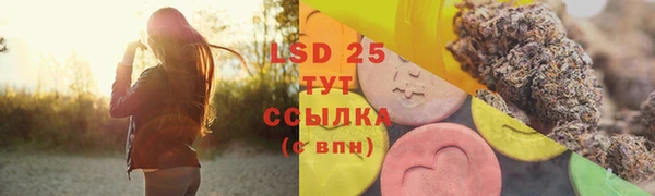 крисы Баксан