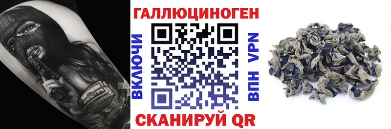 Псилоцибиновые грибы прущие грибы blacksprut как войти Качканар